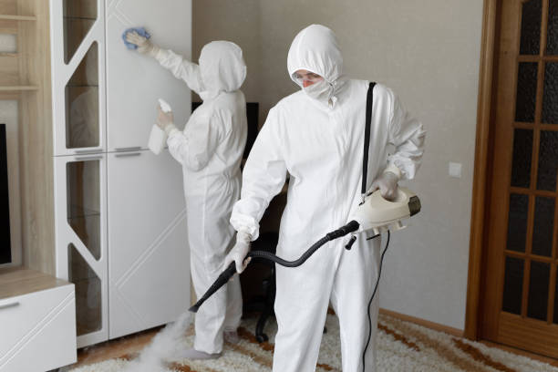 Best Certified Mold Removal  in Colby, WI